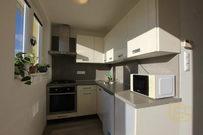 Pronájem bytu 2+kk, Brno - Veveří, Veveří, 48 m2