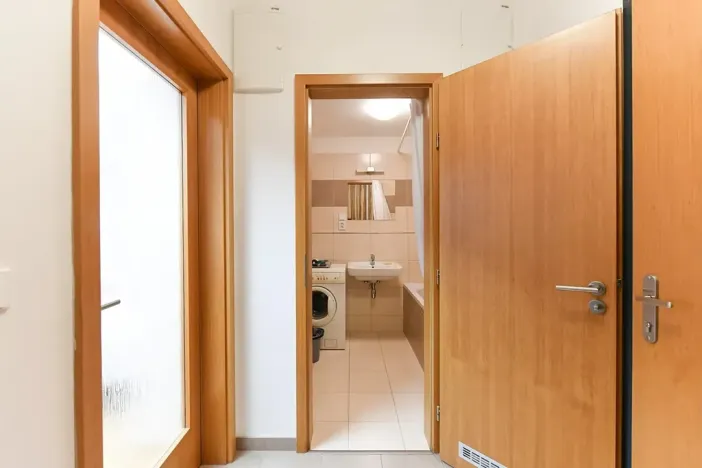 Pronájem bytu 1+kk, Praha - Michle, Hanusova, 32 m2