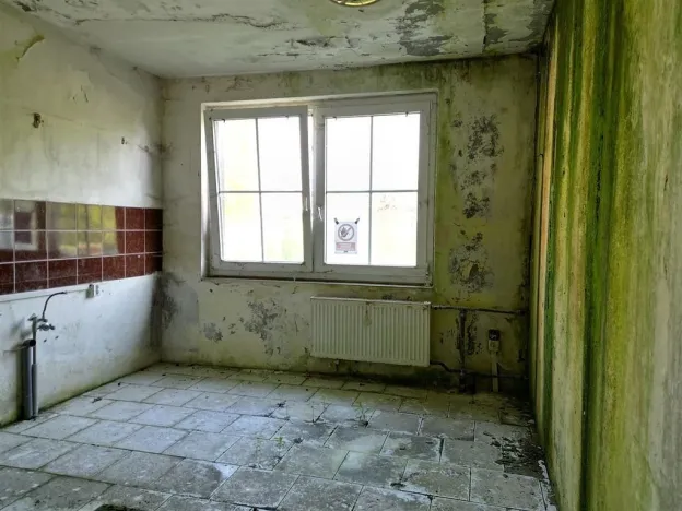 Prodej rodinného domu, Hošťka - Žebráky, 97 m2