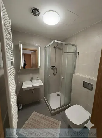 Pronájem pokoje, Praha - Holešovice, Kouteckého, 20 m2