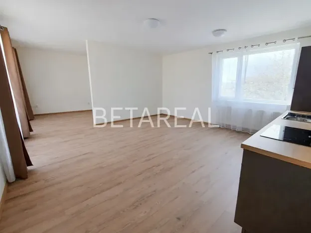 Pronájem bytu 2+kk, Brno, Plotní, 49 m2