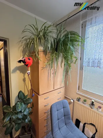 Pronájem bytu 1+1, Liberec, Zámecký vrch, 36 m2