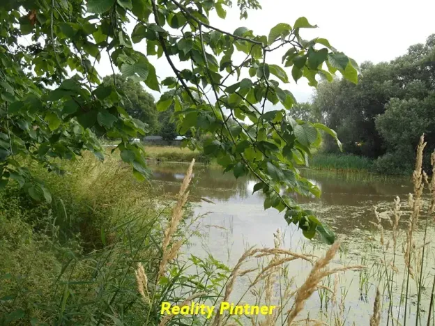 Prodej zemědělské usedlosti, Milevsko, 105 m2