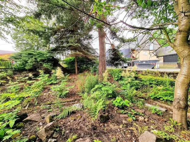 Prodej rodinného domu, Altenberg, Německo, Teplitzer Straße, 276 m2