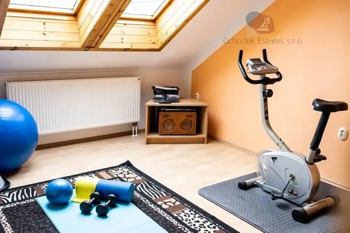 Prodej vícegeneračního domu, Litovel, 265 m2