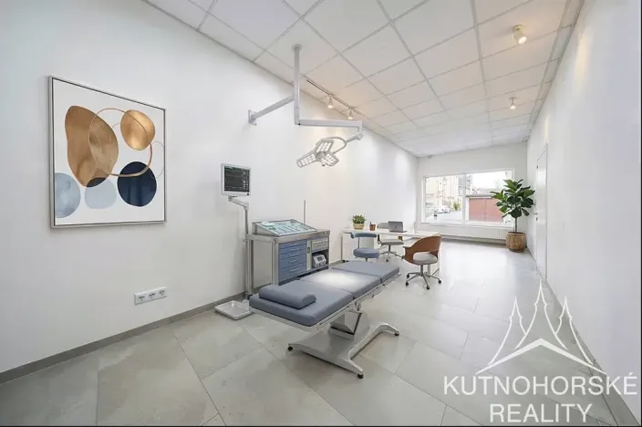 Prodej komerční nemovitosti, Kutná Hora, Zvěřinova, 318 m2