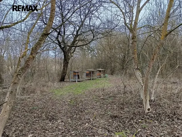 Prodej pozemku, Zábřeh, 3482 m2