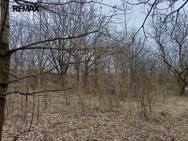 Prodej pozemku, Zábřeh, 3482 m2