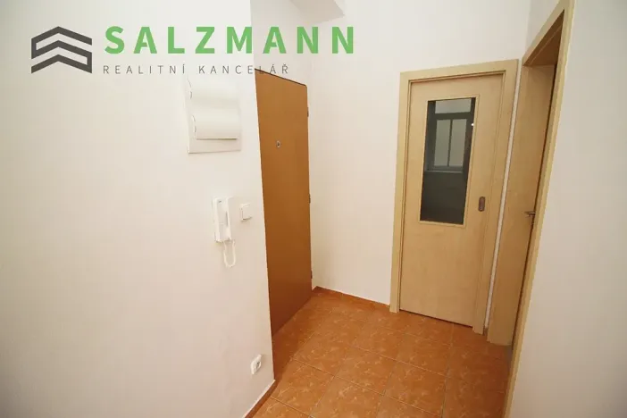 Pronájem bytu 2+kk, Plzeň, Úslavská, 38 m2