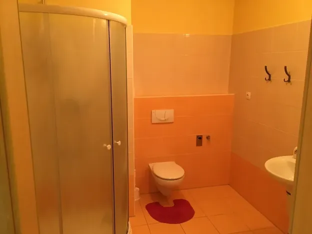 Pronájem bytu 1+kk, Písek, Pražská, 31 m2