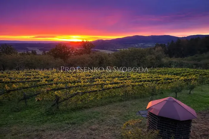 Prodej zemědělské usedlosti, Lhenice, 300 m2