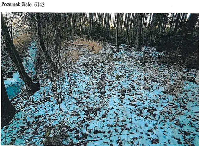 Prodej lesa, Tis, 906 m2