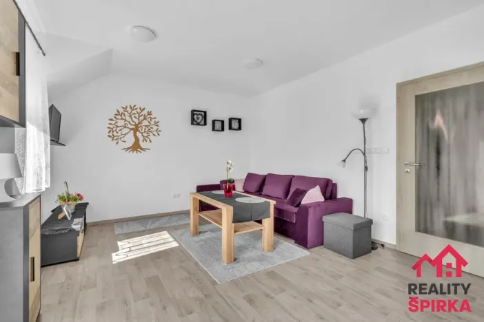 Prodej bytu 2+kk, Červená Voda - Mlýnický Dvůr, 45 m2