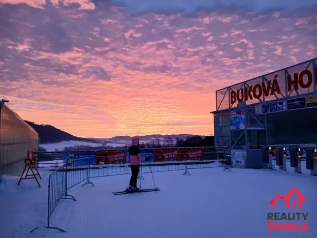 Prodej bytu 2+kk, Červená Voda - Mlýnický Dvůr, 45 m2