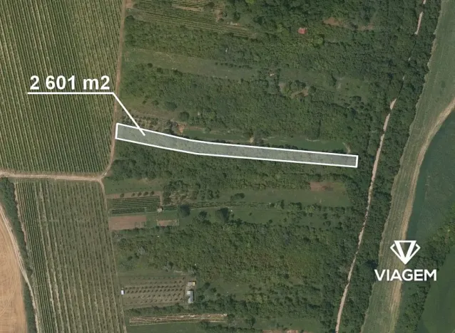 Prodej zahrady, Žarošice, 2601 m2