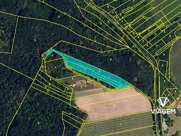 Prodej podílu lesa, Dolní Kounice, 1559 m2