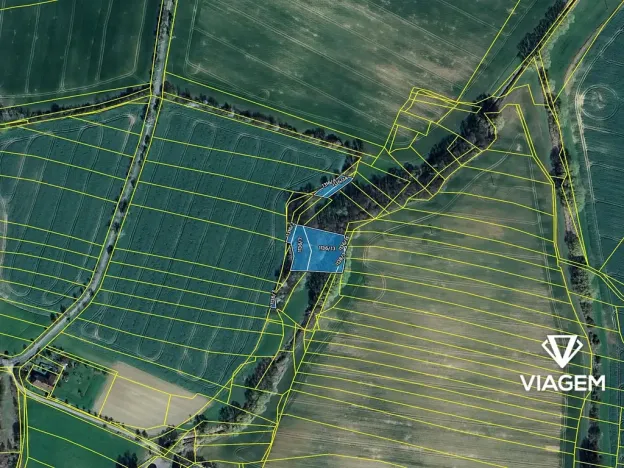 Prodej podílu pole, Golčův Jeníkov, 921 m2