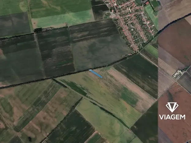 Prodej podílu pole, Prušánky, 1417 m2