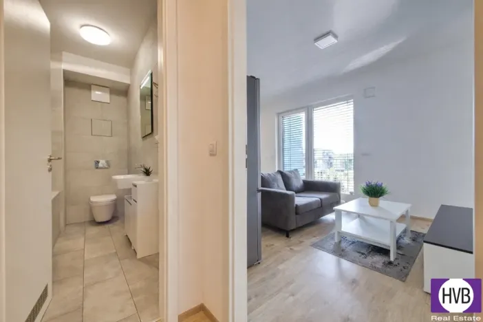 Pronájem bytu 1+kk, Praha, Jurkovičova, 47 m2