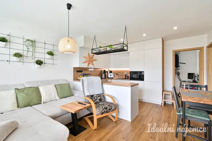 Pronájem bytu 3+kk, Brno, Čermákova, 60 m2