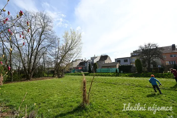 Pronájem bytu 3+kk, Brno, Čermákova, 60 m2