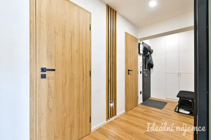 Pronájem bytu 3+kk, Brno, Čermákova, 60 m2