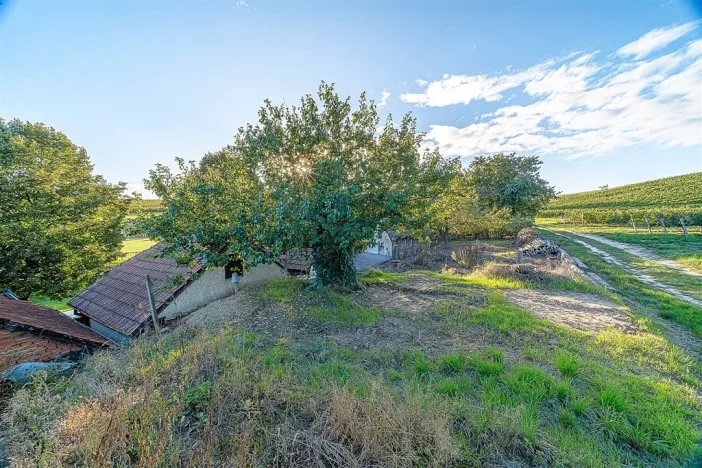 Prodej ostatní, Čejkovice