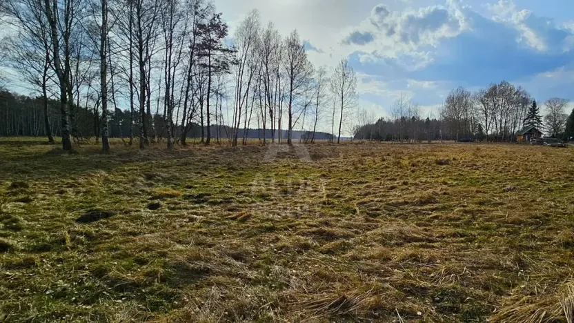 Prodej pozemku pro bydlení, Hranice, 10095 m2