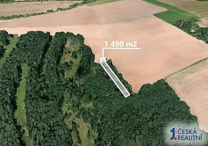 Prodej lesa, Blížejov, 1490 m2