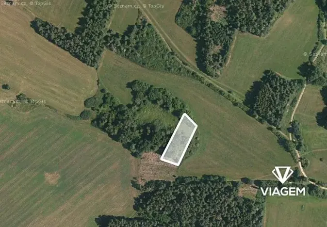 Prodej podílu lesa, Chanovice, 1232 m2