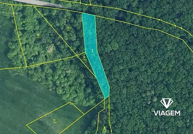 Prodej podílu lesa, Bačalky, 626 m2