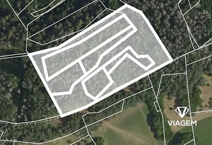 Prodej podílu lesa, Koroužné, 3262 m2