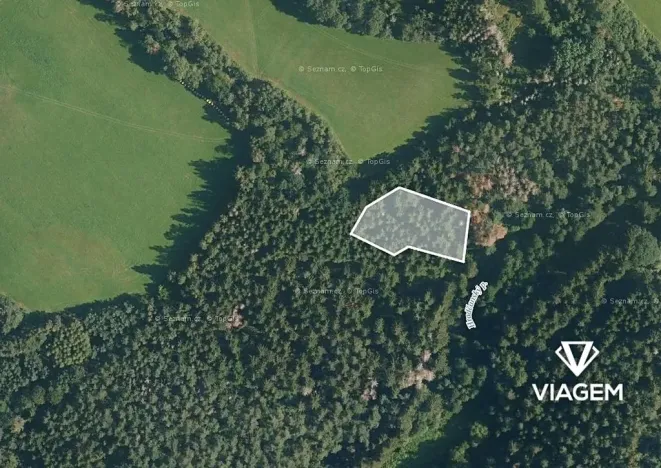 Prodej podílu lesa, Bošice, 1711 m2