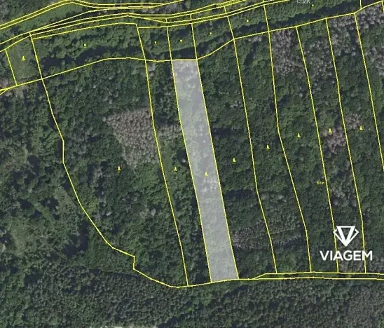 Prodej podílu lesa, Drahelčice, 3372 m2