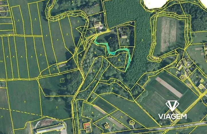 Prodej lesa, Petrovice u Karviné, 566 m2