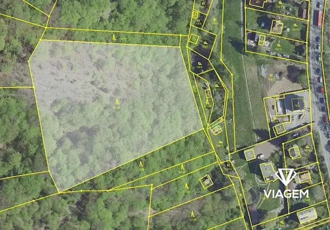 Prodej podílu lesa, Davle, 6247 m2