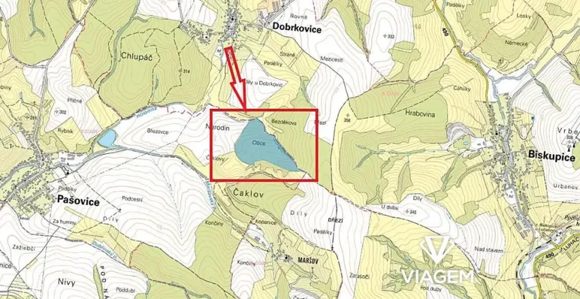 Prodej podílu lesa, Pašovice, 28955 m2