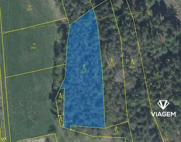 Prodej podílu lesa, Koloveč, 707 m2