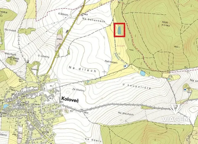 Prodej podílu lesa, Koloveč, 707 m2