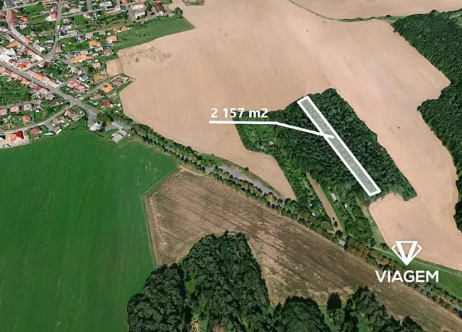 Prodej podílu lesa, Koloveč, 427 m2