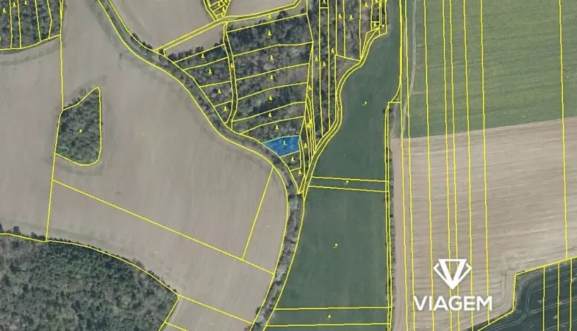 Prodej podílu lesa, Koloveč, 2021 m2