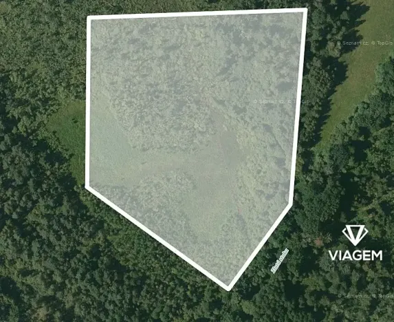 Prodej podílu lesa, Veselí nad Lužnicí, 20552 m2