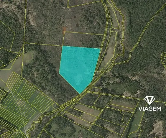 Prodej podílu lesa, Veselí nad Lužnicí, 20552 m2