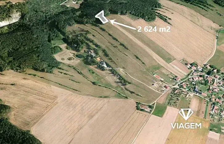 Prodej podílu lesa, Kuřimská Nová Ves, 1166 m2