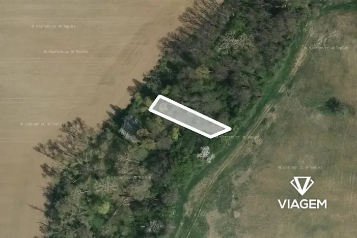 Prodej lesa, Vřesovice, 392 m2