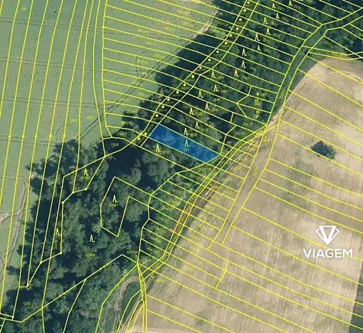 Prodej lesa, Vřesovice, 392 m2