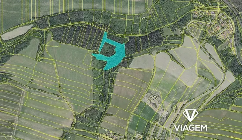 Prodej podílu lesa, Chlum, 2805 m2