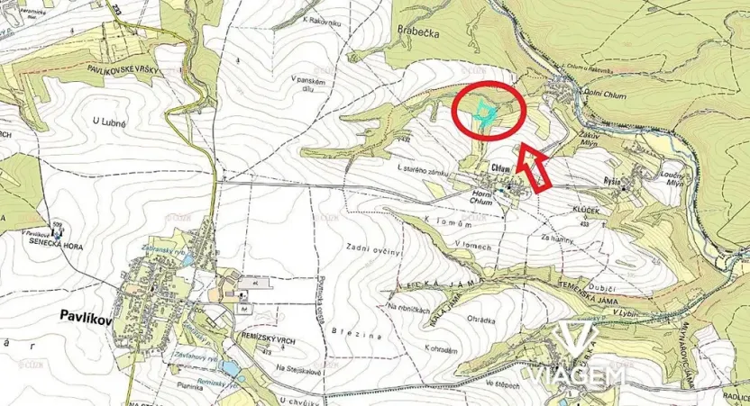 Prodej podílu lesa, Chlum, 2805 m2