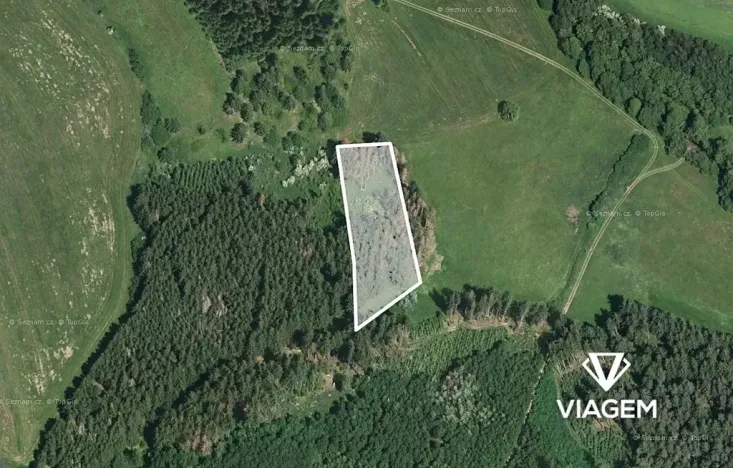 Prodej podílu lesa, Radošovice, 1094 m2