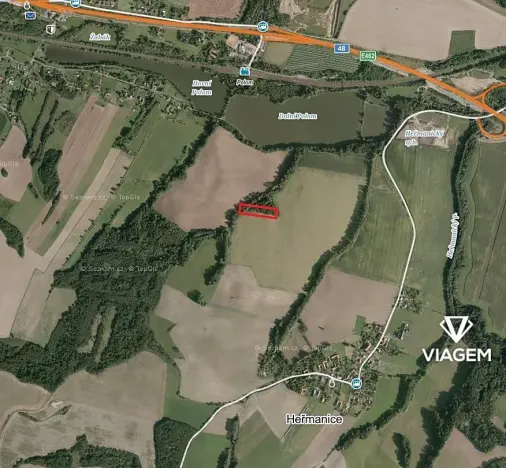 Prodej lesa, Starý Jičín, 4723 m2